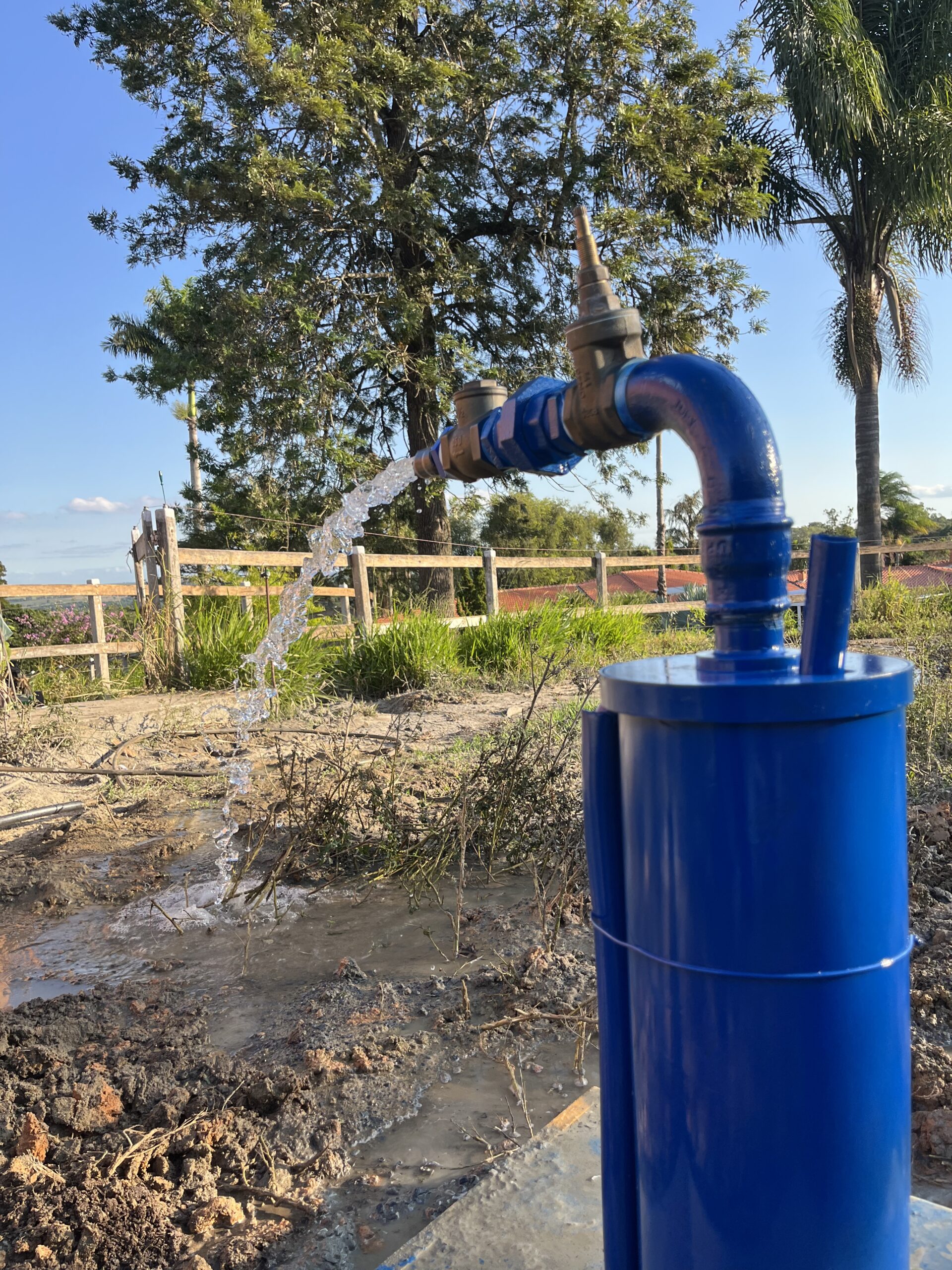 20250407 164747 img 1693 (2)