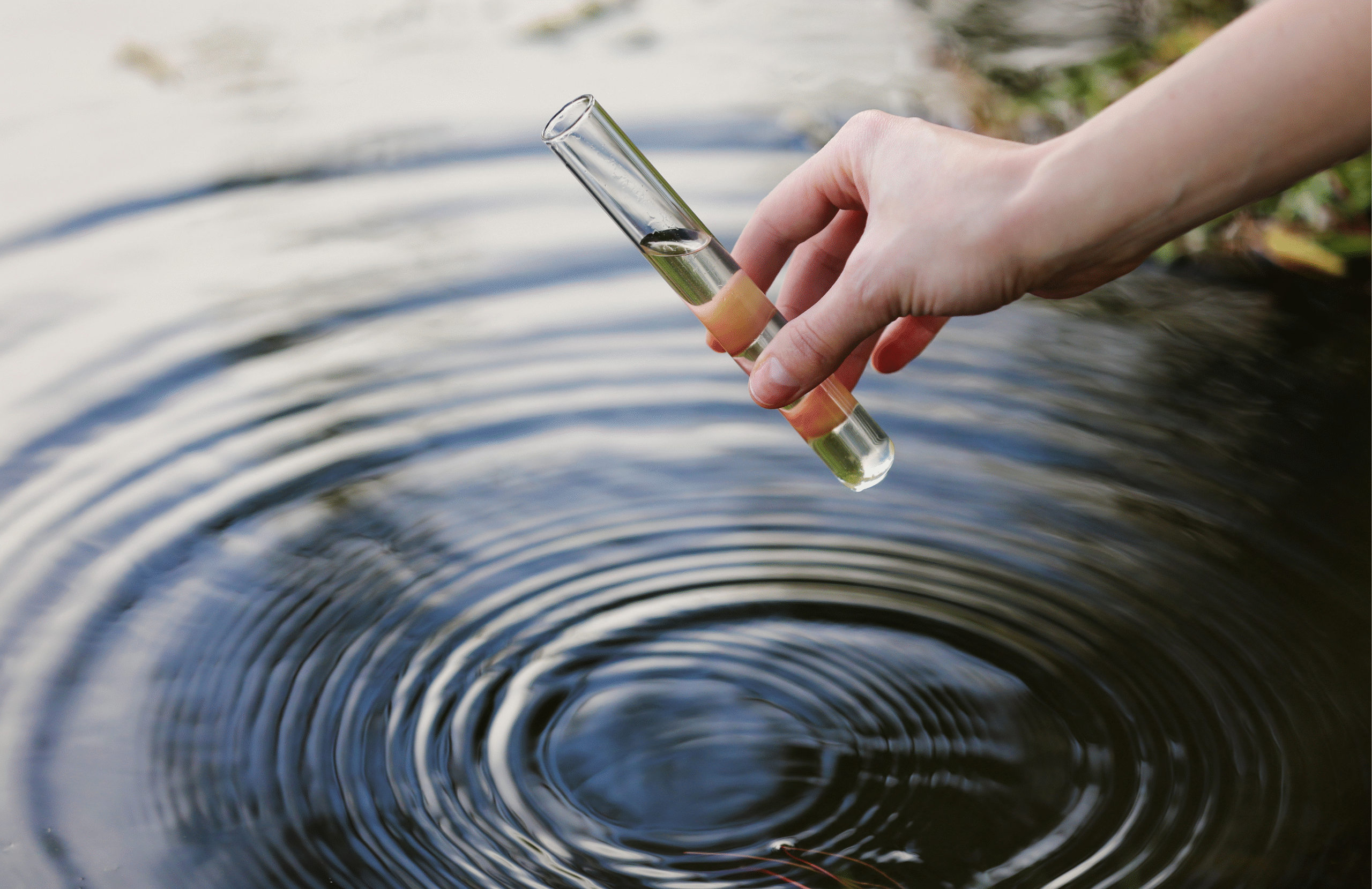 cópia de cópia de cópia de cópia de cópia de cópia de cópia de post interiores (1)