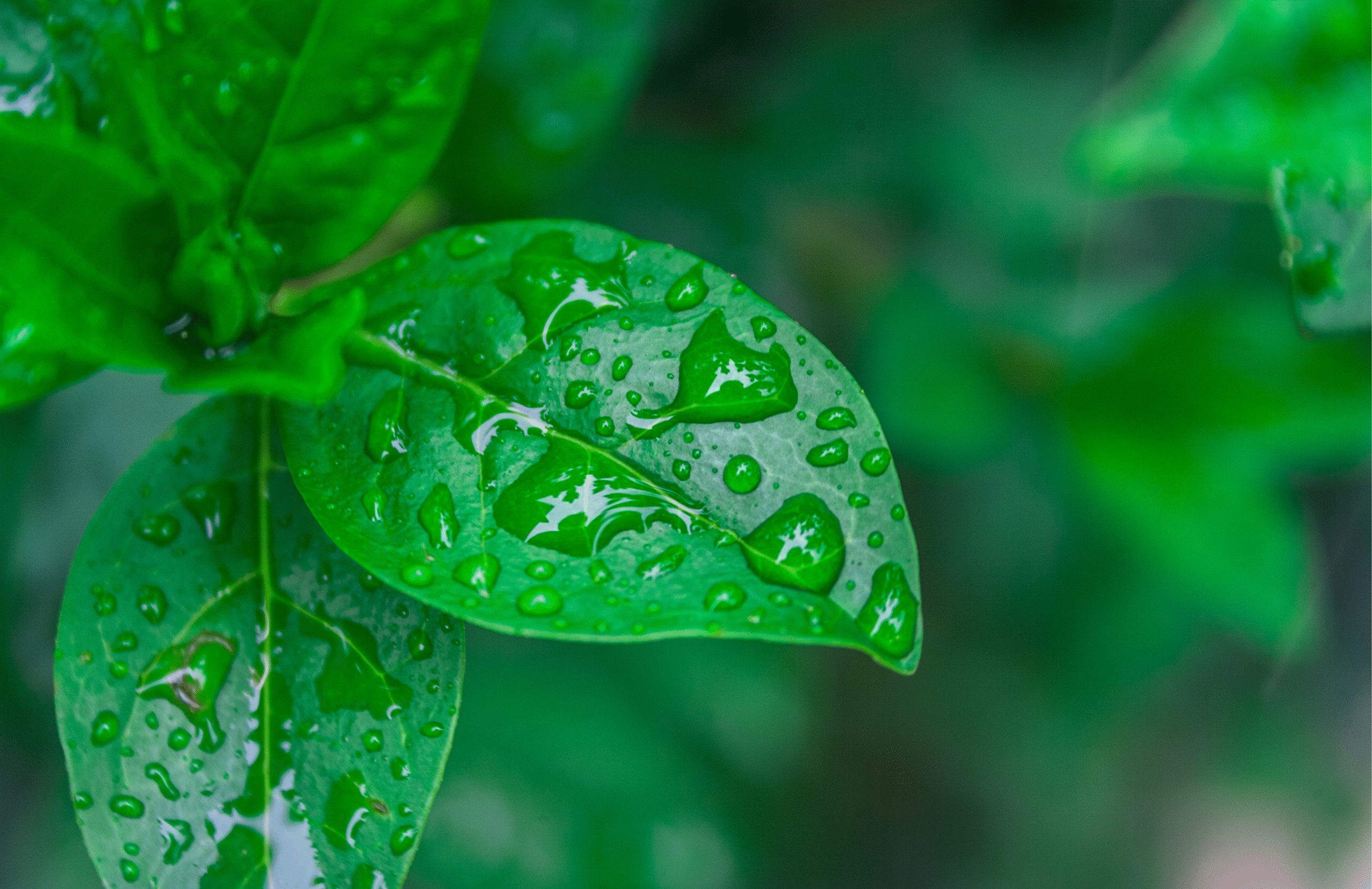 cópia de cópia de cópia de cópia de cópia de cópia de cópia de post interiores (2)